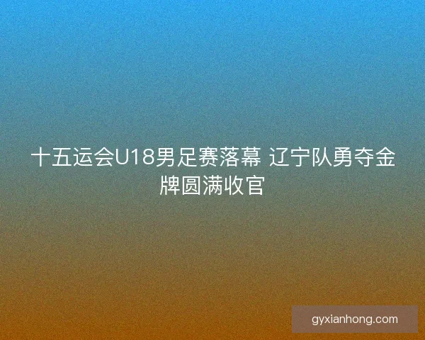 十五运会U18男足赛落幕 辽宁队勇夺金牌圆满收官